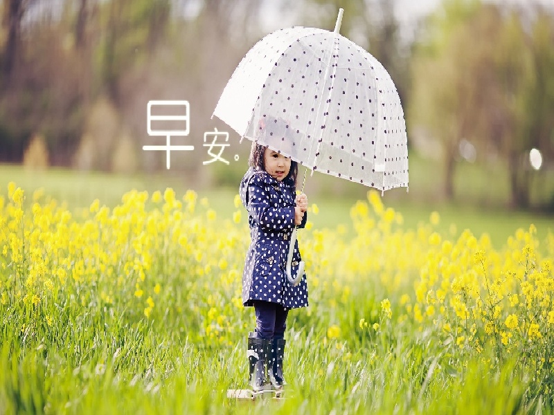 <strong>给猫做试管（囊肿影响试管么）</strong>